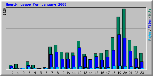 Hourly usage for January 2008