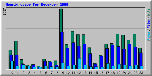 Hourly usage for December 2008