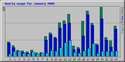 Hourly usage for January 2009