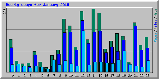 Hourly usage for January 2010